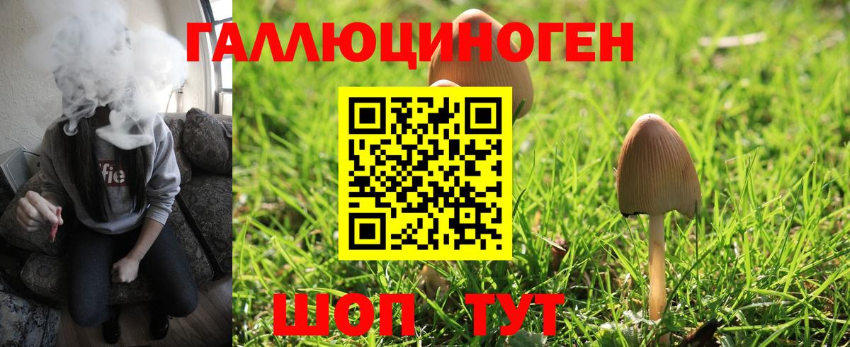 Псилоцибиновые грибы Psilocybe  Вход с VPN  Партизанск 